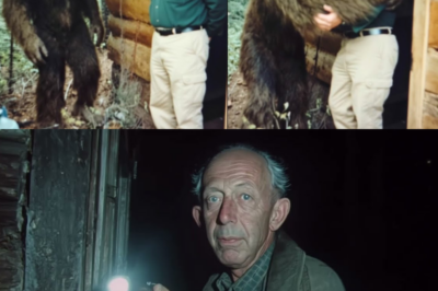 A Bigfoot Begged a Man for Help in Perfect English. What Happened Next Will Shock You!