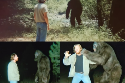 What Happens When Bigfoot Realizes It’s Being Recorded? A Terrifying Encounter!