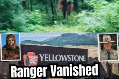 He Knew Yellowstone Better Than Anyone, Until the Forest Returned His Gear in a Way That Chilled Every Rescuer to the Bone