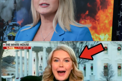 Karoline Leavitt PANICS on Fox News, Newsmax