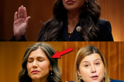 Hearing ERUPTS After Slotkin CONFRONTED Kristi Noem About Deporting U.S. Citizens With Cancer