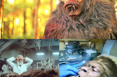 This Scientist Compared Bigfoot DNA to Humans, What He Discovered Will Shock You – Sasquatch Story