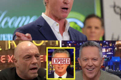 Gavin Newsom LEFT SPEECHLESS After Rogan & Gutfeld EXPOSE Him LIVE!