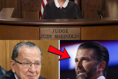 Donald Trump’s Son Uses Presidential Power in Court during Chritsmas — Judge Caprio STUNS America