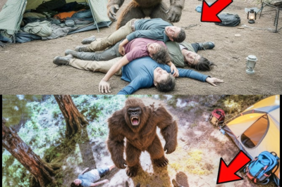 Bigfoot Slaughters 5 Campers in Their Sleep on May 10th, 2025