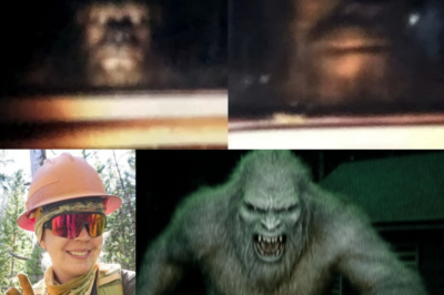 ALARMING SASQUATCH Footage Found in Missing Ranger’s Cabin- Bone-Chilling Bigfoot Story