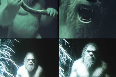 ‘My Camera Caught Bigfoot On My Property’ – Bizarre Bigfoot Encounter Story