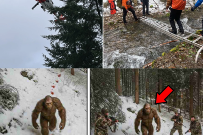 Helicopter Crew Spots WOUNDED Bigfoot Crawling Through Snow – They Tried to Rescue It