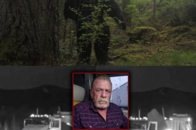 Bigfoot Giant Kills Truck Driver — Rangers Are Terrified by What Happened!