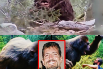 HE SPOTTED BIGFOOT! The Video That Will Give You Goosebumps…