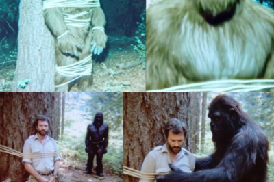 Bigfoot Found a Ranger Tied to a Tree, What Happened Next Will Shock You – Sasquatch Story