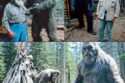 Archaeologists Found a Bigfoot Village Deep in the Rockies, Authorities Sealed It Off – Story