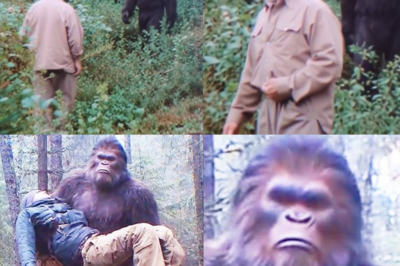 Trail Camera Records Bigfoot Carrying a Hiker, Prompting Authorities to Investigate – Story