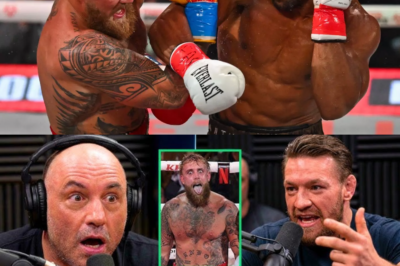 Joe Rogan Shocked After Conor McGregor Responds to Jake Paul Offer After Anthony Joshua!!