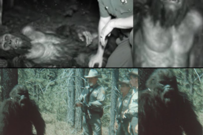 WE CAPTURED BIGFOOT – Park Ranger’s TERRIFYING Hunt Caught on Camera | Bigfoot Story Compilation