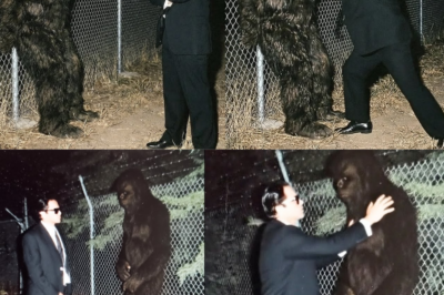 Former CIA Agent Admits They’ve Been Tracking Bigfoot Since 1962 – Sasquatch Conspiracy