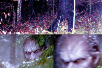 His Trail Camera Recorded Bigfoot Right Before His Cattle Vanished – Sasquatch Encounter Story