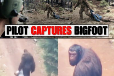 Pilot Films Bigfoot Dragging Supposed Missing Hiker Through Forest – Sasquatch Encounter Story