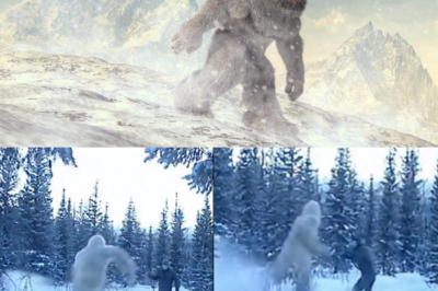 TOURISTS IN PANIC: We encountered an UNKNOWN CREATURE in the Mountains