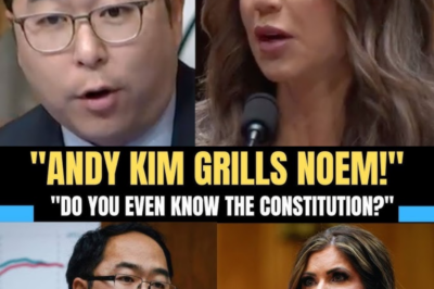Andy Kim DESTROYS Kristi Noem Over ICE Raid Claims & Constitutional Ignorance