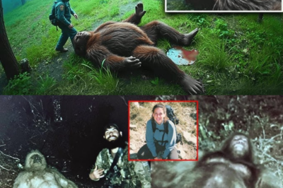 Hunter Found a Rotting Bigfoot, And What Was Inside Him Will Shock You – Sasquatch Encounter Story