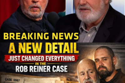 A New Detail Just Changed Everything in the Rob Reiner Case