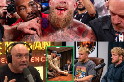 JOE ROGAN EXPLODES on Logan & Jake Paul for SCRIPTING Fights and Ruining Boxing!!
