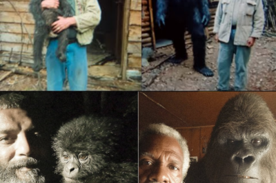 He Raised a Bigfoot for 40 Years, Then the Feds Found Out. What They Did – Sasquatch Story