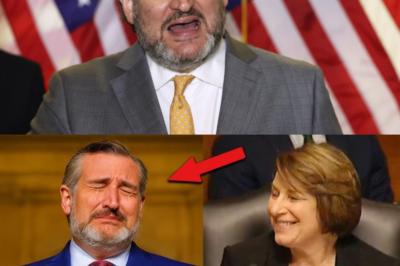 Hearing ERUPTS After Klobuchar Call Out Ted Cruz’s Claims on Injunctions — He WALKED OUT Mid-hearing