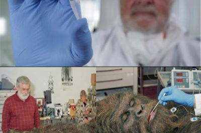 I Sent Bigfoot DNA To 3 Separate Labs. The Results Were Terrifying