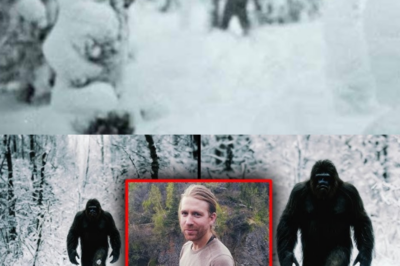 BIGFOOT SIGHTINGS – Hiker’s Final Photo