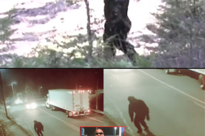 GIANT BIGFOOT Murdered Truck Driver – Rare Footage Got Leaked!