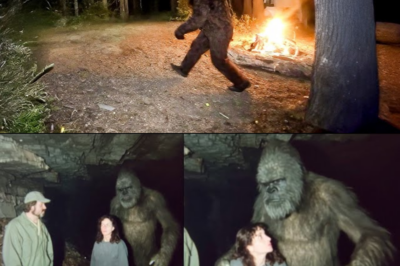 This Man Was Searching for His Missing Wife, Found Her Living With a Bigfoot in a Cave
