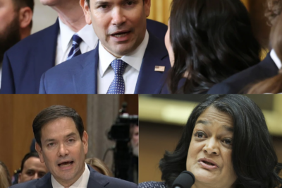 Democrats SITS In SILENCE As Trump’s Sec. Of State Marco Rubio Totally DESTROY One of their OWN!