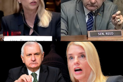 Pam Bondi Implodes: Jack Reed Exposes Her Dangerous Gun Policy Spin