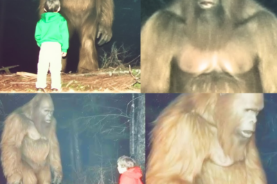 Trail Cam Captures BIGFOOT Protecting Lost Boy For 3 DAYS – Sasquatch Encounter Story
