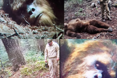 Hunter Tracks 2,000lb Bear, BUT He Finds a BIGFOOT NEST – Sasquatch Encounter