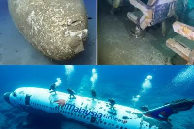 MH370 Mystery, After 11 Years, Underwater Drone Reveals New Evidence