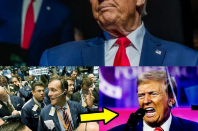 TRUMP ENRAGED After Wall Street Seizes ASSETS