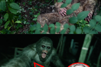 Hiker’s Chilling Final Photos of Bigfoot Discovered Alongside His Remains!