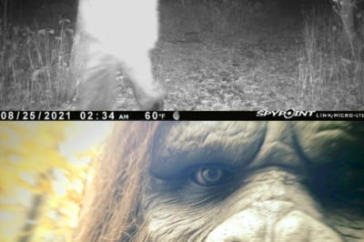 My Trail Camera Recorded BIGFOOT and I Paid the Price for This – Bigfoot Encounter Story
