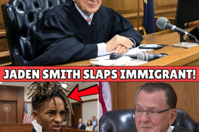 Will Smith’s Son Slaps Immigrant Driver – What Judge Caprio Does Will BLOW YOUR MIND