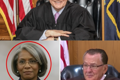 Rich Woman Disrespects Judge Caprio in Court – What Happens Next Is Pure Justice