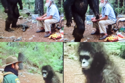 RANGER DISCOVERS A BIGFOOT INFANT IN DANGER, Then This Happens – Sasquatch Encounter