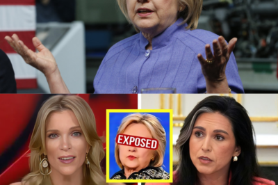 Hillary Clinton STUNNED As Megyn Kelly & Tulsi Gabbard CALL Her Out LIVE!