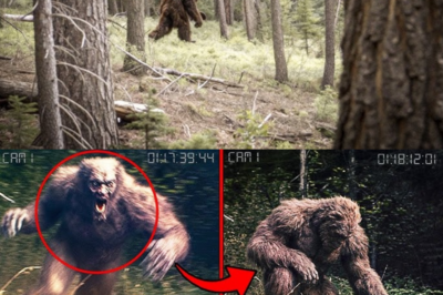 The Terrifying Bigfoot Encounter Scientists Never Expected — Caught On Camera!