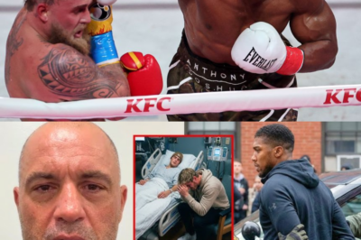 “I Can’t Help Him!” Joe Rogan Breaks Silence After Anthony Joshua K!lled Jake Paul!