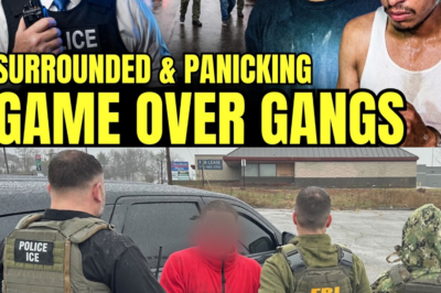 ICE Conducts Large-Scale Enforcement Operation in Ohio, Raising Fear and Debate