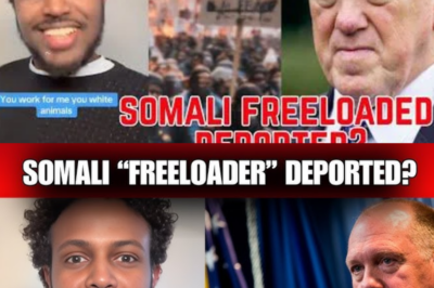 Somali Migrant’s Provocative Remark Sparks Public Outrage and Renewed Deportation Debate