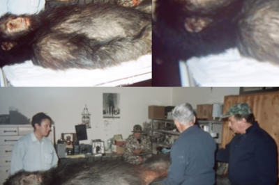 This Biologist Found Bigfoot DNA, What It Revealed Will Shock You – Sasquatch Encounter Story